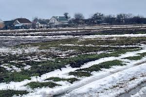 ділянка за адресою с. Мироцьке, 