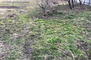 дом по адресу с. Новые петровцы, Свято-Покровская ул. (Ленина)