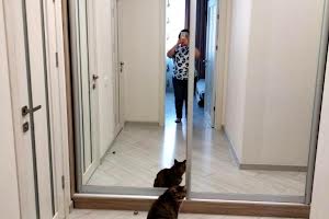 квартира за адресою Марсельська вул., 60