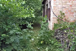 будинок за адресою Центральна