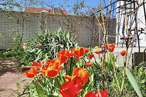 будинок за адресою Приозерна вул.