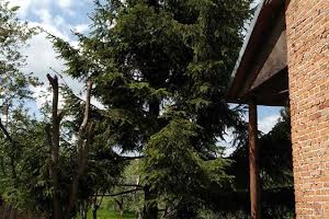 дом по адресу Михаила Грушевского ул.