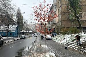 комерційна за адресою Єреванська вул., 3