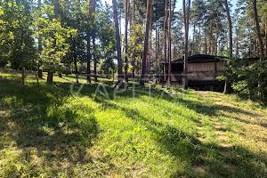 ділянка за адресою с. Ходосівка, 