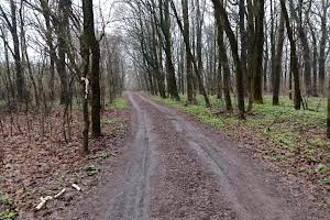 будинок за адресою Дендропаркова вул., 10
