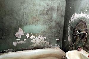 квартира по адресу Благовісного, 80