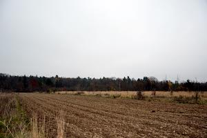 ділянка за адресою с. Старі Богородчани, 