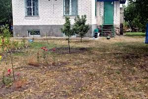 дом по адресу с. Чеховка, Шевченка, 22