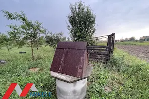 дом по адресу Лесі Українки, 11