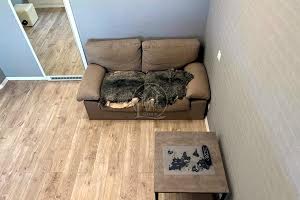 квартира по адресу Марсельская ул., 38