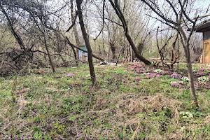участок по адресу Заставненская ул., 38