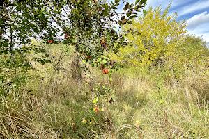 дом по адресу Чернигов, Аркадия Верзилова ул. (Орджоникидзе 2-й пер.)