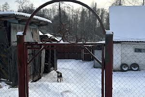 будинок за адресою с. Рижики, Рижики