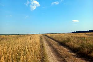 ділянка за адресою Село Щасливе