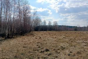 ділянка за адресою Лесі Українки, 59