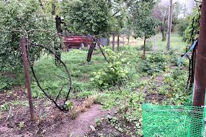 будинок за адресою Одоївського вул., 63
