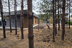 будинок за адресою Васильківська вул.