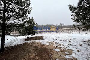 дом по адресу Западна, 55