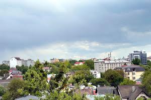 квартира за адресою Юліана Пелеша вул., 5, к6