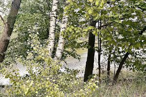 дом по адресу Лесная ул.