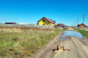 участок по адресу Весняна, 60