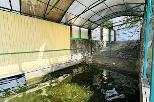 будинок за адресою Київський провулок, 111