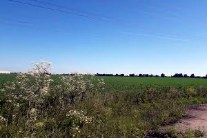 ділянка за адресою Поштова вул.