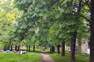 квартира за адресою Одеса, Небесної сотні просп. (Жукова Маршала), 3