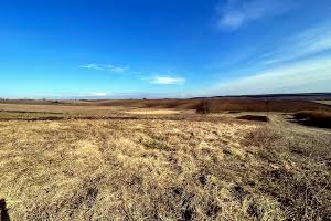 участок по адресу с. Лесовые Гриневцы, 