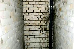 квартира по адресу Михаила Лушпы просп., 5
