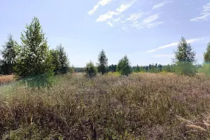 участок по адресу  ул.
