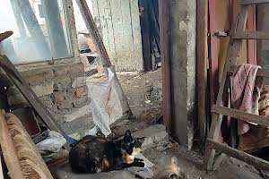 будинок за адресою Залізничне Селище вул., 343 б