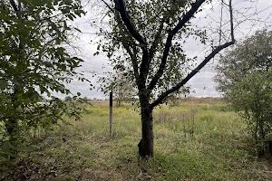 дом по адресу Преображенська, 49
