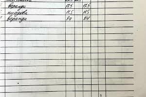 дом по адресу с. Семиполки, Київське Шосе