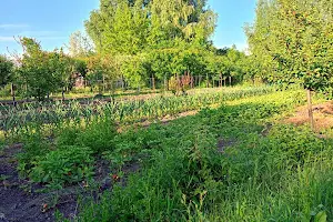 ділянка за адресою садове товариство