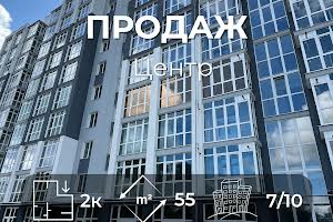 квартира за адресою Василя Стуса вул. (Чернишевського), 33