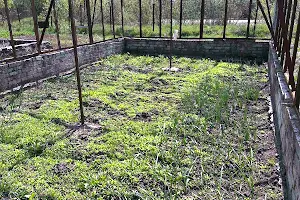 ділянка за адресою с. Новоукраїнка, 