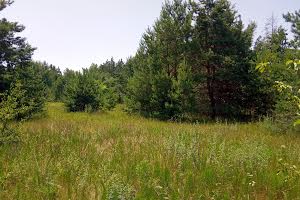 будинок за адресою Дорожня