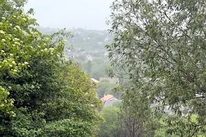 ділянка за адресою Ярославська