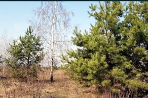 участок по адресу Сонячна