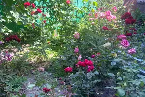 квартира за адресою Остапа Вишні вул., 54