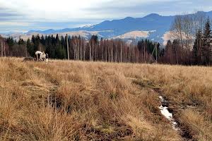 участок по адресу с. Ильцы, Пр.Погар