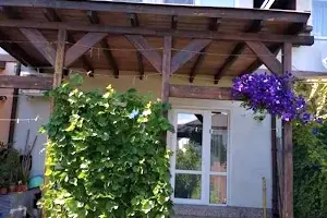 дом по адресу Весенняя ул.