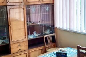 дом по адресу с. Скибин, Центральна, 17