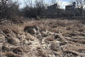ділянка за адресою Дачна вул.