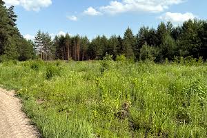 ділянка за адресою с. Гнідин, 
