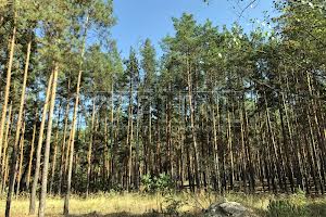 дом по адресу с. Хотяновка, Вишгородський