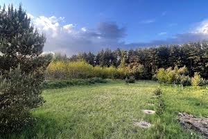 ділянка за адресою Ігнатія Лукасевича вул., 1
