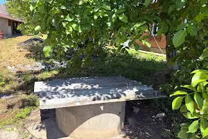 участок по адресу Центральна, 73