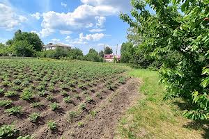 дом по адресу с. Новониколаевка, Залізнича